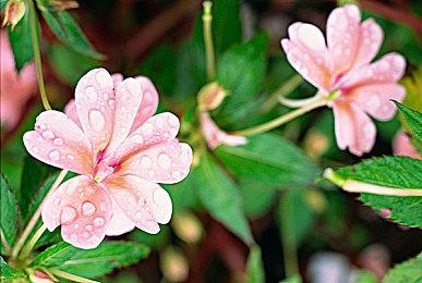 《星际公民》新视频展示FPS战斗改进：背包装弹等